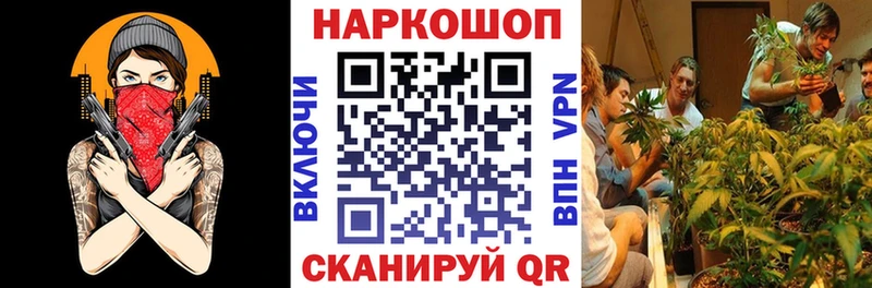 Купить Шилка Канабис  COCAIN  Псилоцибиновые грибы  МЕТАМФЕТАМИН  A PVP  ГАШИШ 