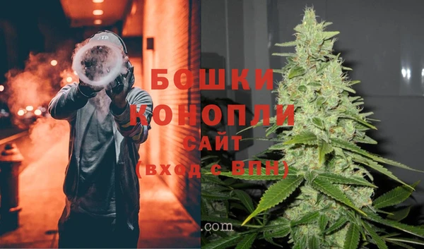 шишки Балабаново