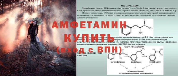 шишки Балабаново