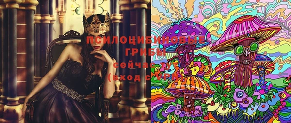 шишки Балабаново