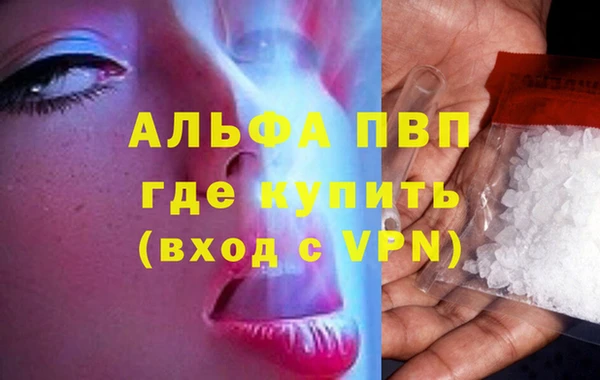 шишки Балабаново