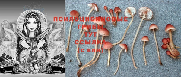 шишки Балабаново